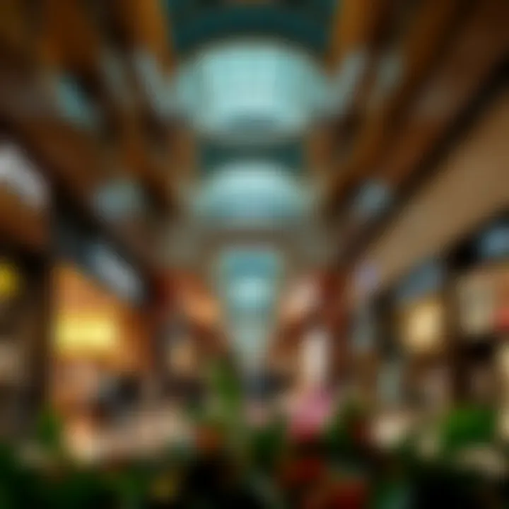 Retail landscape within الراحة مول highlighting diverse shops