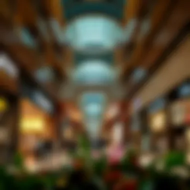 Diverse Retail Offerings at الراحة مول Retail landscape within الراحة مول highlighting diverse shops