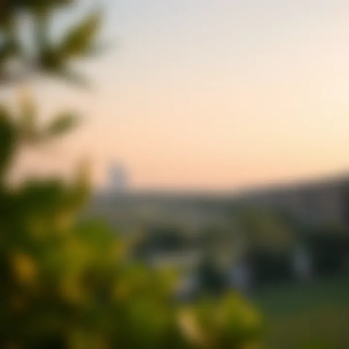 Scenic views of green spaces within Acacia