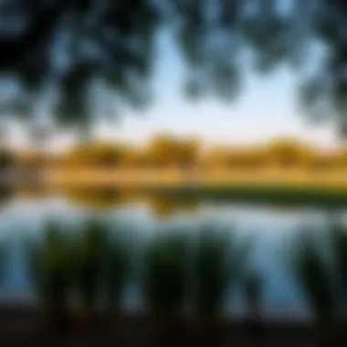 Serene Lake in Al Mushrif Park A serene lake within Al Mushrif Park reflecting the surrounding greenery