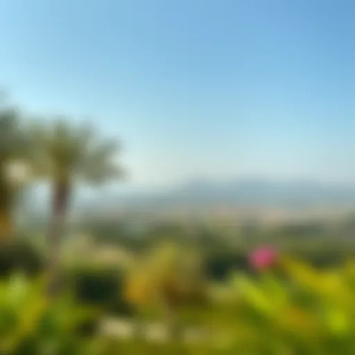 A panoramic view of Al Mushrif Park showcasing its lush green landscapes