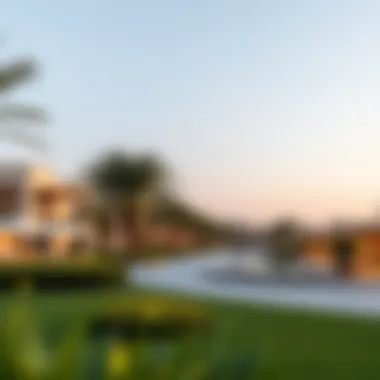 Leisure Spaces in مدينة بدر Community parks in مدينة بدر illustrating lifestyle and leisure