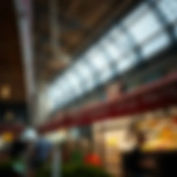Exploring Public Markets in Dubai: A Comprehensive Insight Summary