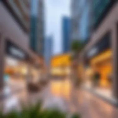 Modern amenities and shopping areas in شارع الاتحاد العين