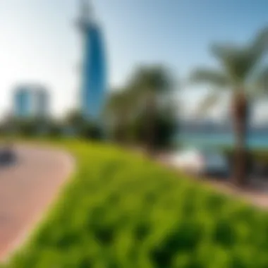 Green Spaces by the Waterside Lush greenery along the Dubai Corniche waterfront