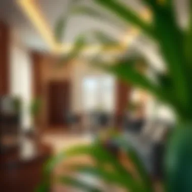 Notable Finding a Budget-Friendly 1 BHK for Rent in Dubai Notable Finding a Budget-Friendly 1 BHK for Rent in Dubai
