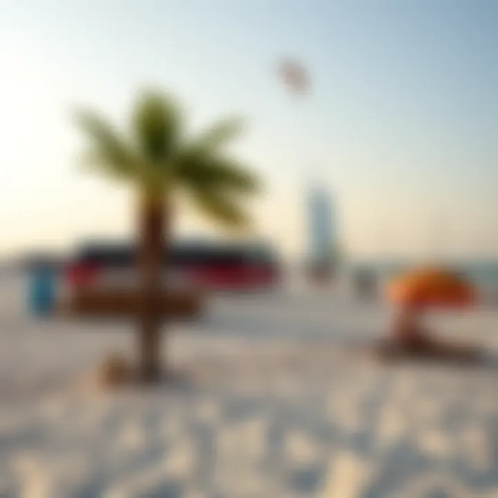 Seasonal variations in beach activities at Kite Beach depicted through vibrant graphics
