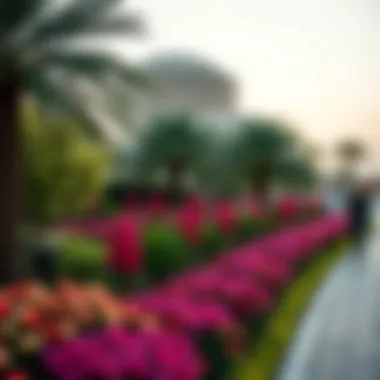 Dubai's Seasonal Climate Insights Seasonal weather conditions in Dubai