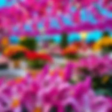 Stunning Flower Exhibits at Miracle Garden Vibrant flower displays at Miracle Garden